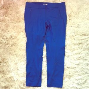 Loft- Marissa pant